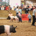 IMG_3382.JPG