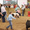 IMG_3383.JPG