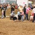 IMG_3386.JPG