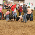 IMG_3387.JPG
