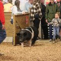 IMG_3389.JPG