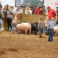 IMG_3395.JPG
