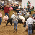 IMG_3398.JPG