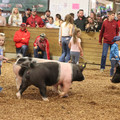 IMG_3399.JPG