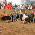 IMG_3408.JPG