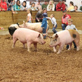 IMG_3410.JPG