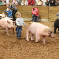 IMG_3411.JPG