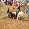 IMG_3416.JPG