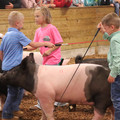 IMG_3421.JPG