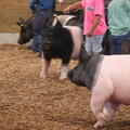 IMG_3425.JPG