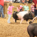 IMG_3432.JPG