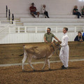 IMG_5916.JPG