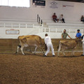 IMG_5917.JPG