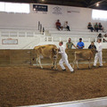 IMG_5918.JPG