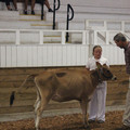 IMG_5930.JPG