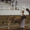 IMG_5931.JPG