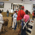 IMG_5935.JPG