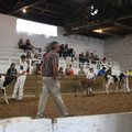 IMG_5962.JPG