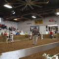 IMG_5964.JPG