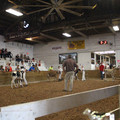 IMG_5965.JPG