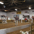 IMG_5966.JPG