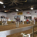 IMG_5967.JPG