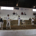 IMG_5969.JPG