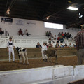 IMG_5970.JPG