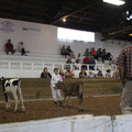 IMG_5971.JPG