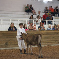 IMG_5974.JPG
