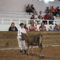 IMG_5975.JPG