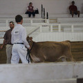 IMG_5978.JPG