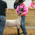 IMG_5987.JPG