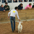 IMG_5988.JPG