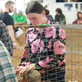 IMG_5997.JPG