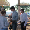 IMG_8987.JPG