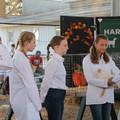 IMG_8997.JPG