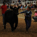 IMG_1433.JPG
