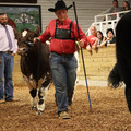 IMG_1465.JPG