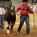 IMG_1466.JPG