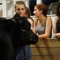 IMG_1487.JPG