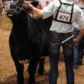 IMG_1521.JPG