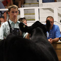 IMG_1525.JPG