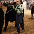 IMG_1536.JPG