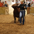 IMG_1537.JPG