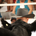 IMG_1553.JPG