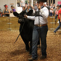 IMG_1563.JPG