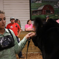IMG_1569.JPG