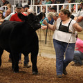 IMG_1598.JPG