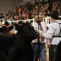 IMG_1662.JPG